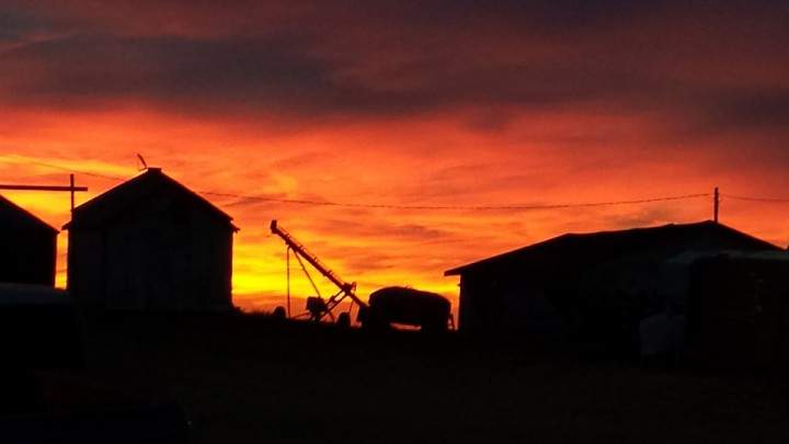 Nov. 3: This Your Saskatchewan photo was taken by Nancy Greter in Reward.