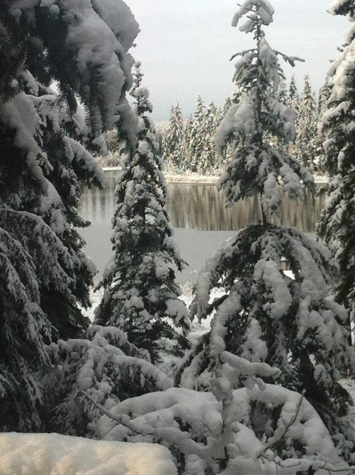 Nov. 5: This Your Saskatchewan Photo was taken by Deb Hargreaves at Savard Lake near Victoire.