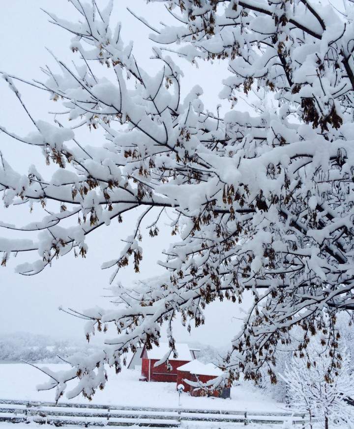Nov. 6: This Your Saskatchewan photo was taken by Elaine McMillan outside Prince Albert.