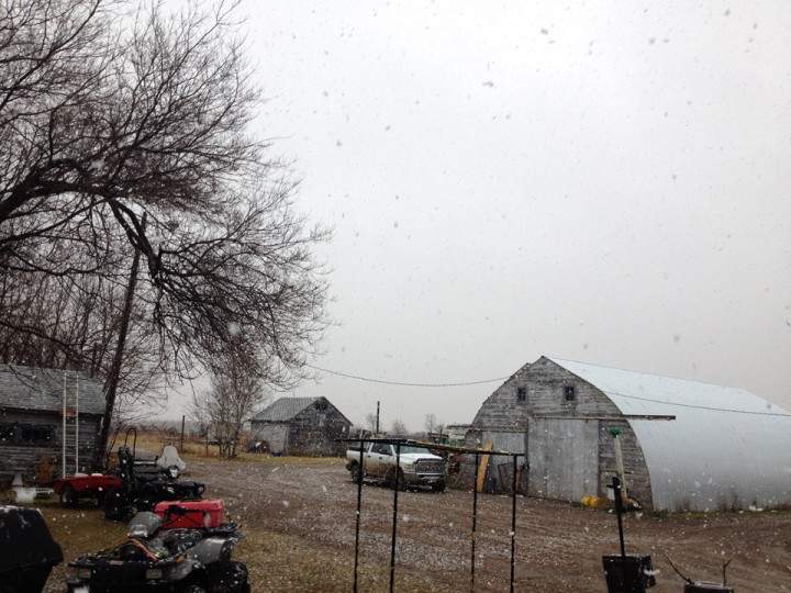 Nov. 10: This Your Saskatchewan photo was taken by Madison Berkech near Martensville.