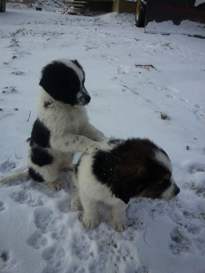 Nov. 14: This Your Saskatchewan photo was taken by Reba McNeill in Wiseton.