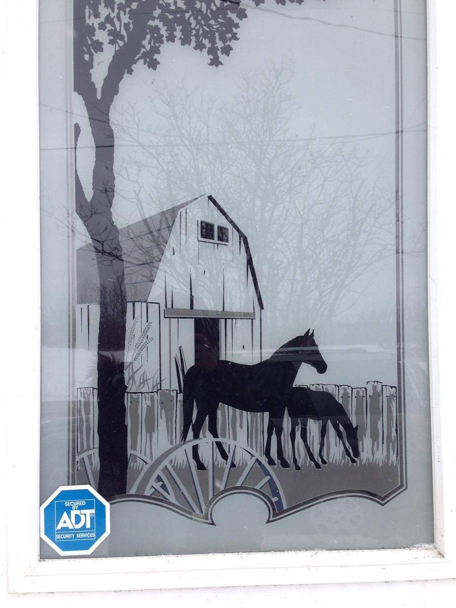 Pictures of horses hung on nearly every wall of the family farm home.