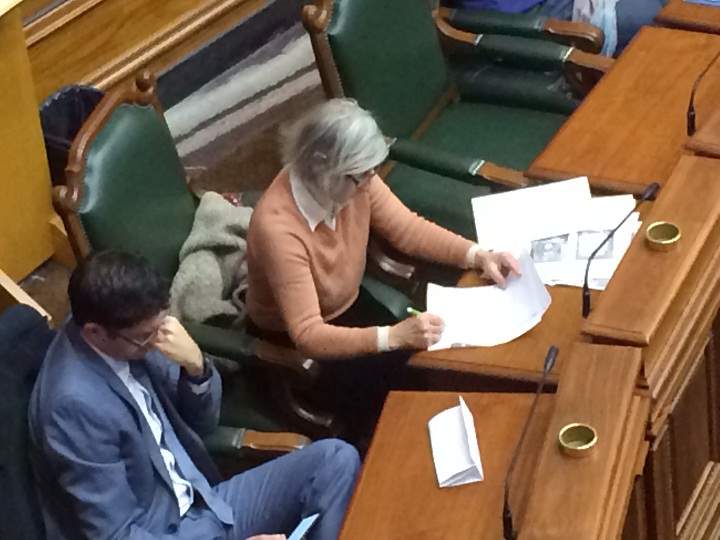 Diana Shahmoon, one of the land owners of Angell Woods in Beaconsfield presented her views at Montreal city hall before a commission on future land development for the island on November 11, 2014.