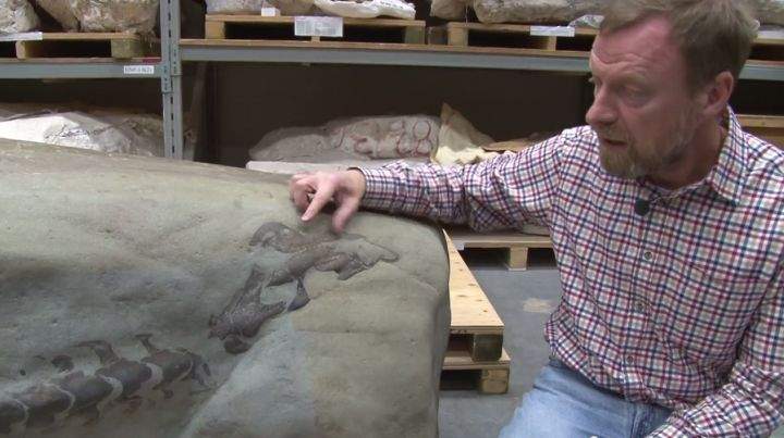 A 1,300-kilogram boulder, found in the Castle River,
southwest of Lethbridge, in September contains a partial skull, neck
and chest of a duck-billed dinosaur.
