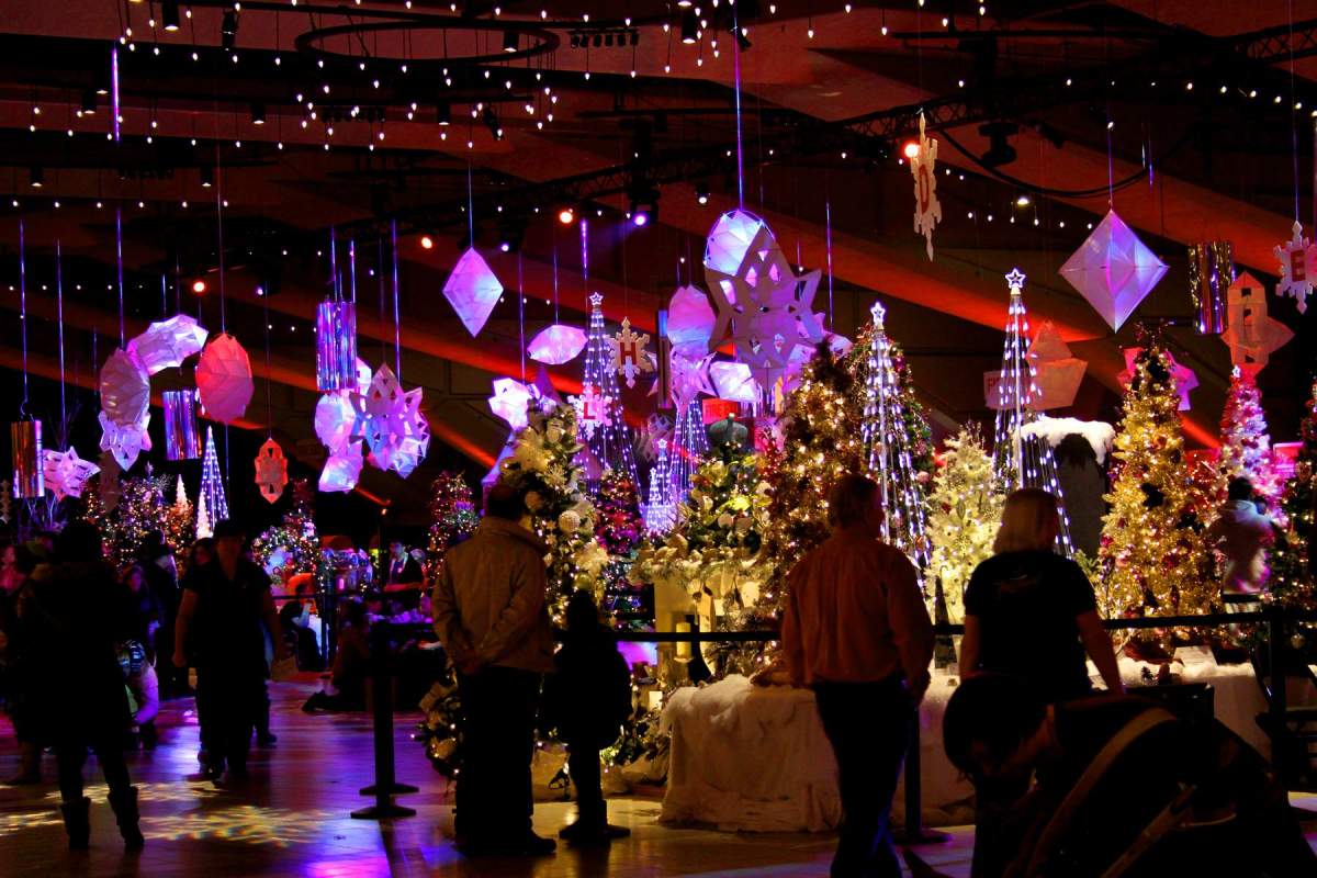 12 holiday activities in and around Edmonton - image