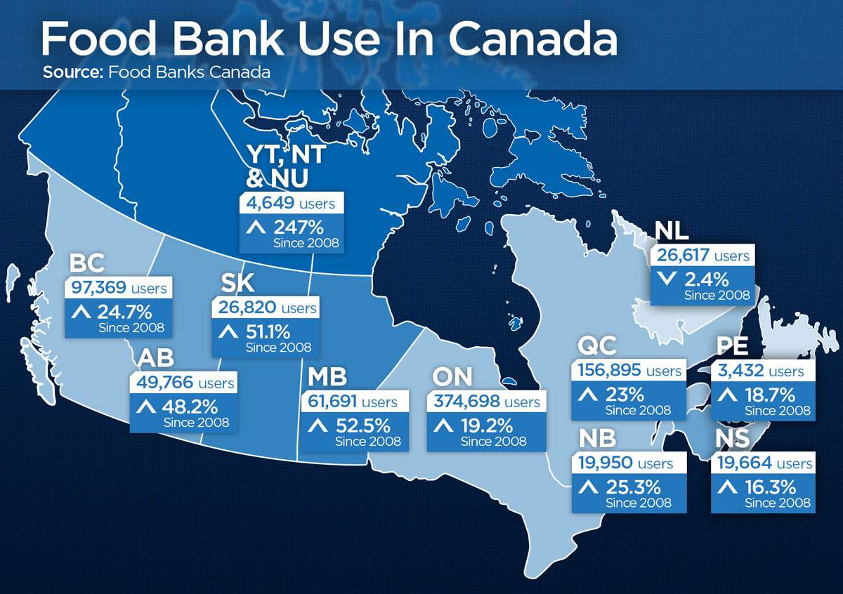A closer look at food bank use numbers in Canada.