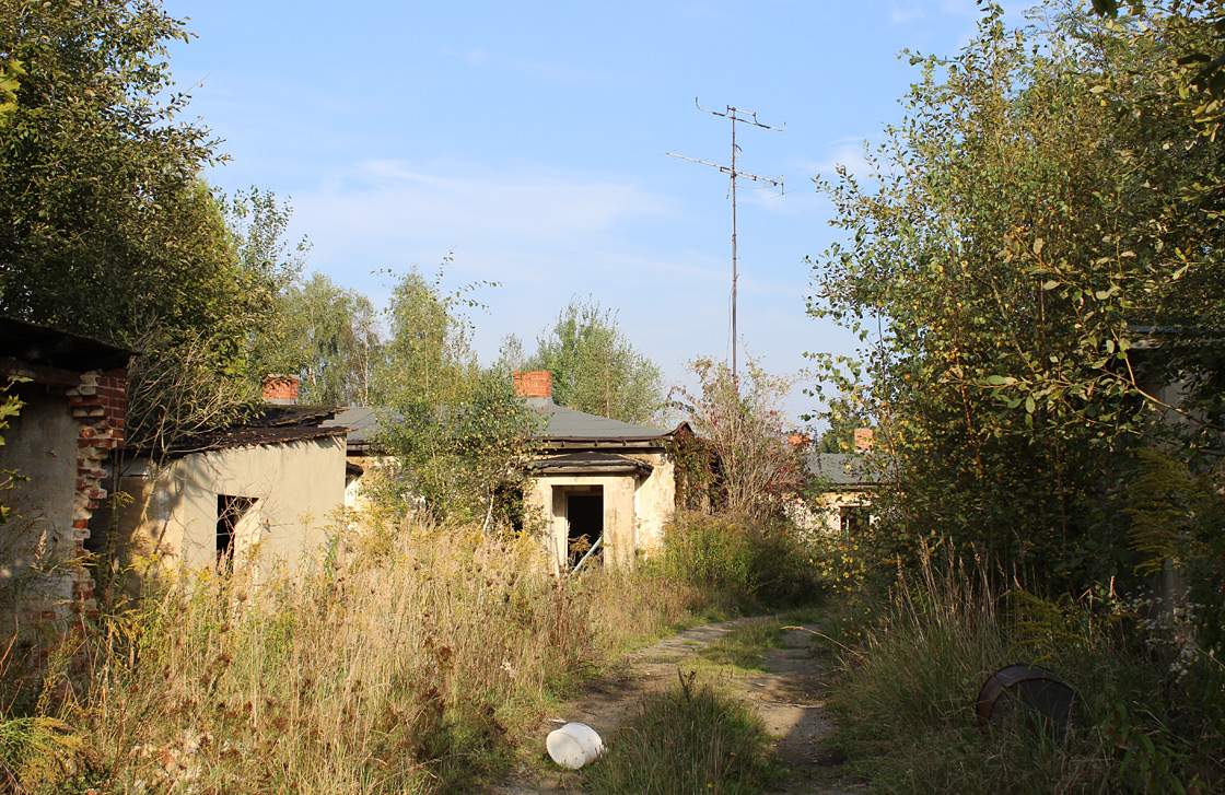 A street in abandoned Haidemühl