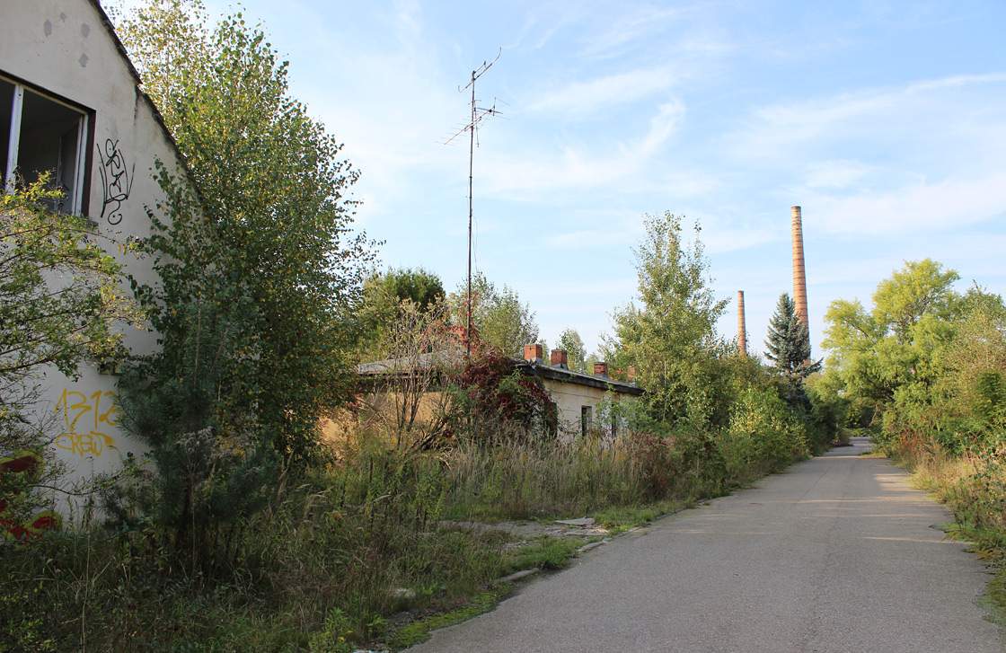 A street in abandoned Haidemühl