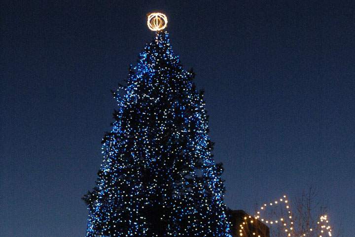 Christmas tree at Nathan Phillips Square Pictures is seen in this file photo.