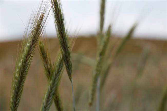 The entire prairie region is feeling the effects of above-average wind, says a Winnipeg climatologist.