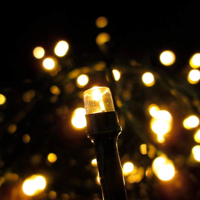 This photo provided by Lights.com shows LED lights that are an energy efficient way to deck your halls for the holidays.