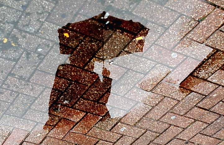 Heavy rain and strong wind are expected Sunday night into Monday evening, meteorologists say. Wind gusts could reach 70 to 90 km/h, with 20 to 40 mm of rainfall. .
