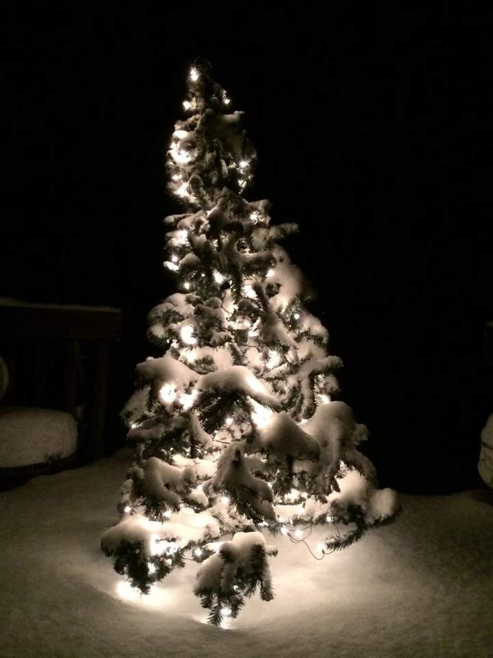 Dec. 2: This Your Saskatchewan photo was taken by Elaine McMillan in Prince Albert.
