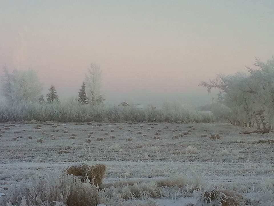 Dec. 21: This Your Saskatchewan picture was taken by Reba McNeill near Wiseton.