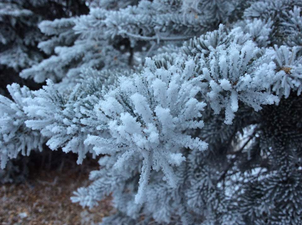Dec. 22: This Your Saskatchewan photo was taken by Sue Brown in Saskatoon.