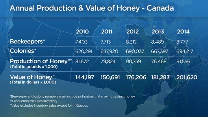 Despite pesticide concerns, beekeepers and colonies on the rise - image