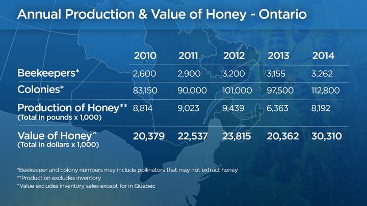Despite pesticide concerns, beekeepers and colonies on the rise - image