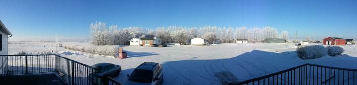 This photo of hoar frost in Allan, Sask. was sent in by Brent Kruger.