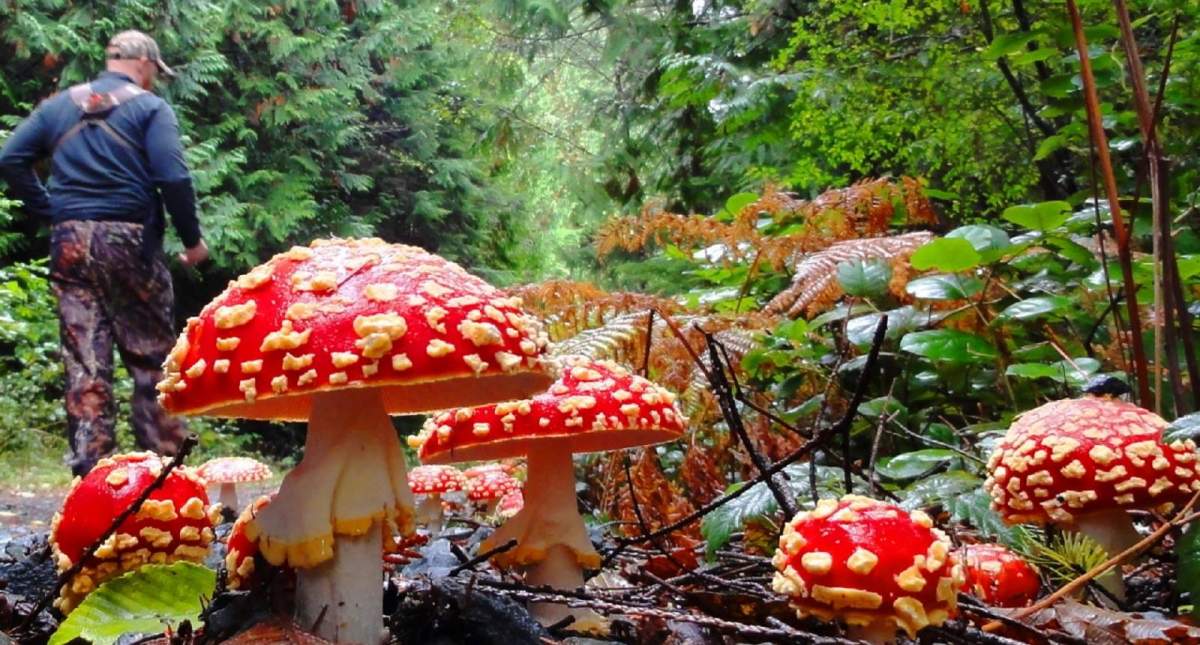Best B.C. Weather Window Photos of 2014 - image