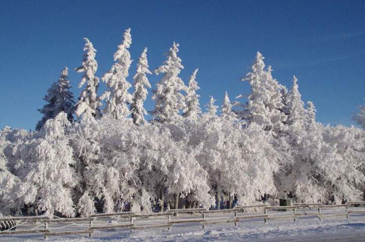 This photo was submitted by C. Gordon Rook of hoar frost near Lloydminster.