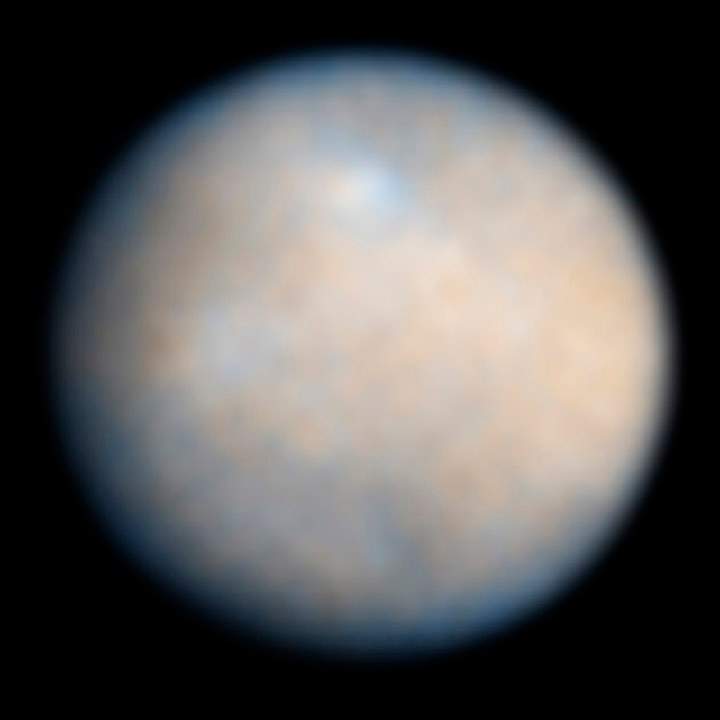 An image of Ceres, taken by the Hubble Space Telescope.