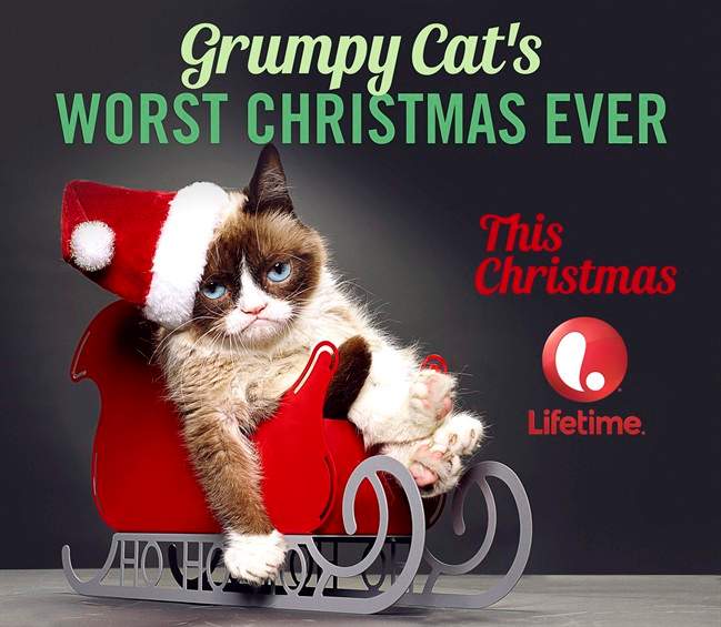 This undated image provided by Lifetime shows the Internet sensation, Grumpy Cat.