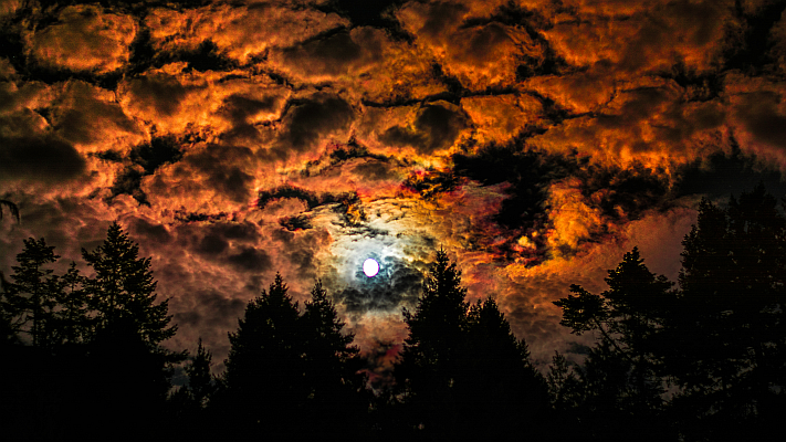 Best B.C. Weather Window Photos of 2014 - image