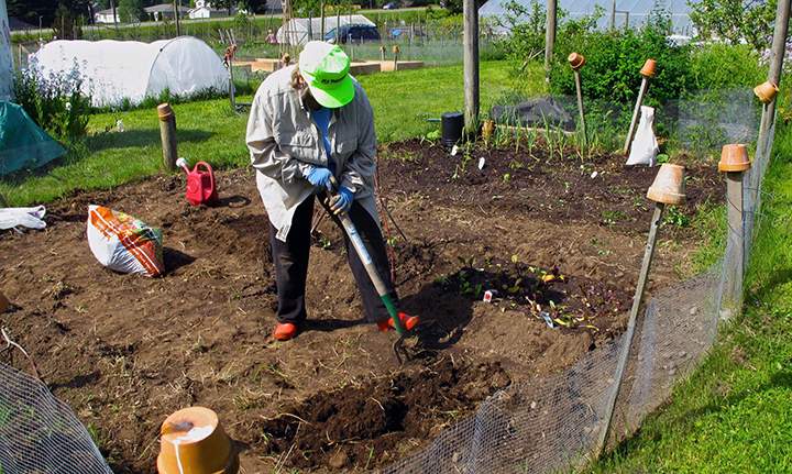 A helpful first step is to develop a plan. Decide what you want to grow. Choose the best place for growing it. Determine how much you can safely harvest and store. Finally, lay it out.