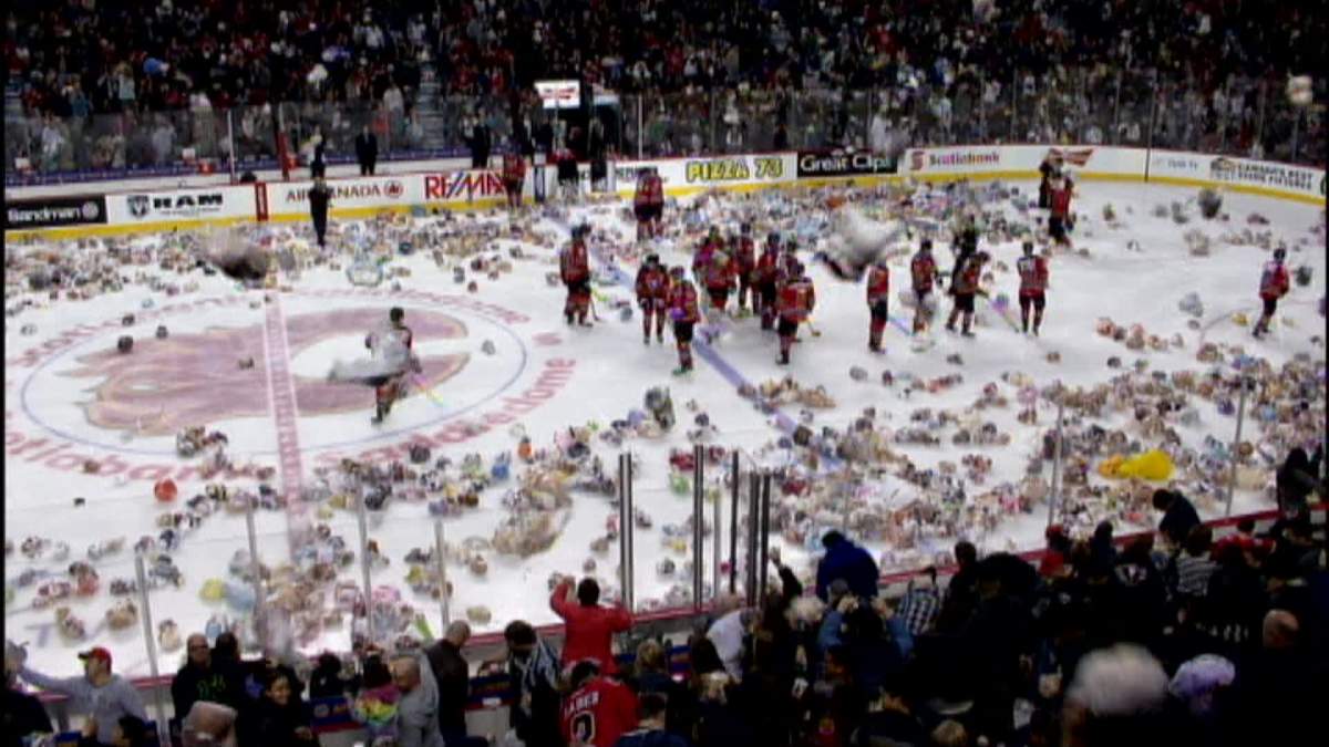 Teddy bear toss