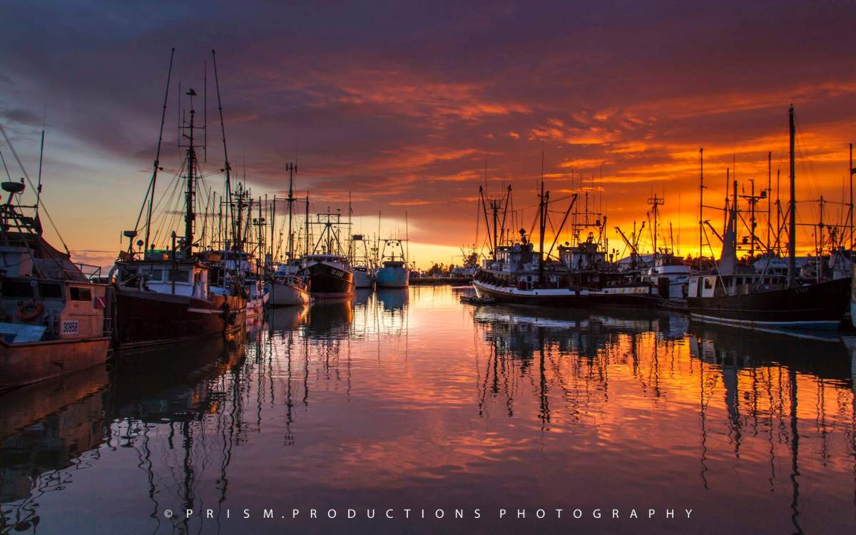 Best B.C. Weather Window Photos of 2014 - image