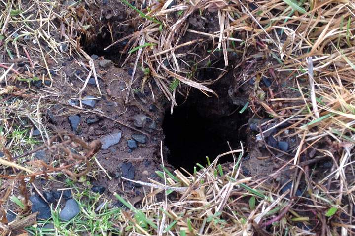 Problems are developing as a result of the flooding in the Hammonds Plains area.