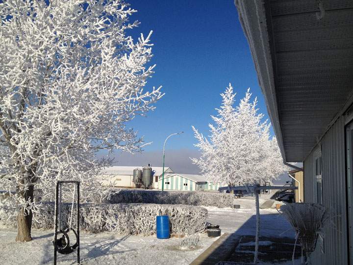 This photo was submitted by Jorge Hofer of a beautiful afternoon at the farm near Dinsmore, Sask.