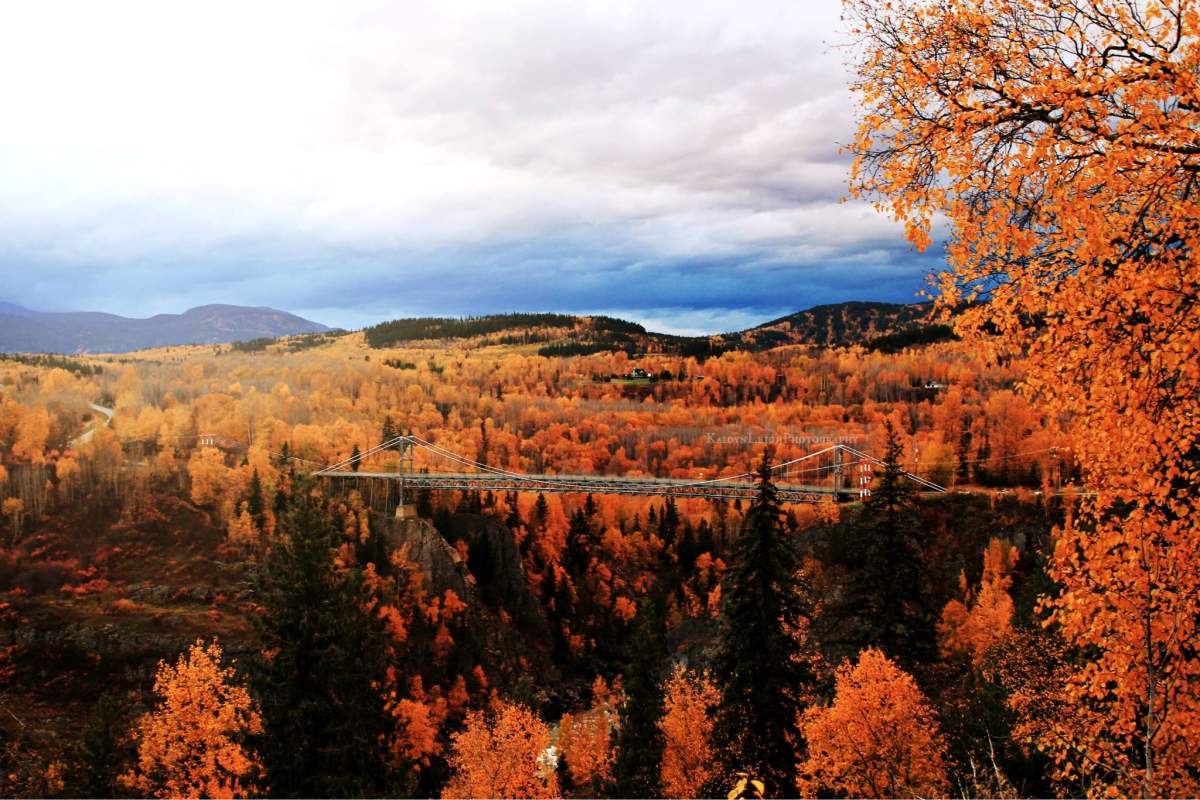 Best B.C. Weather Window Photos of 2014 - image