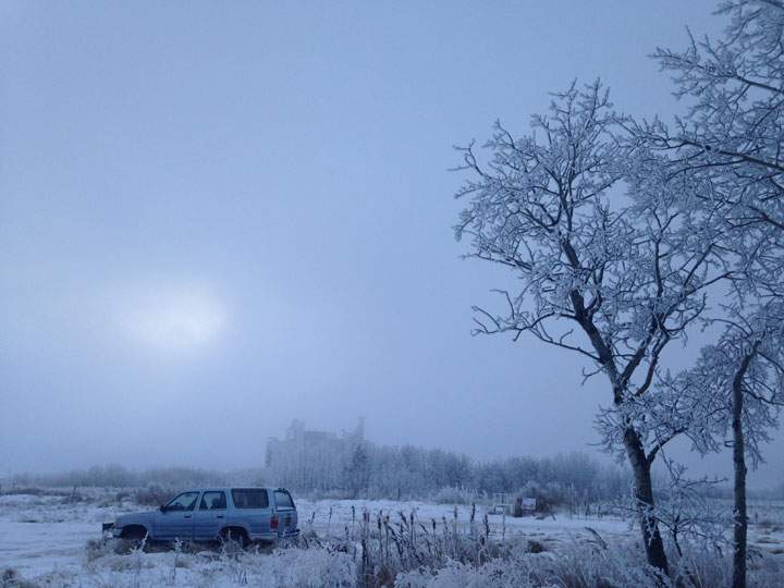 This photo featuring hoar frost near Martensville was submitted by Madison Berkech.