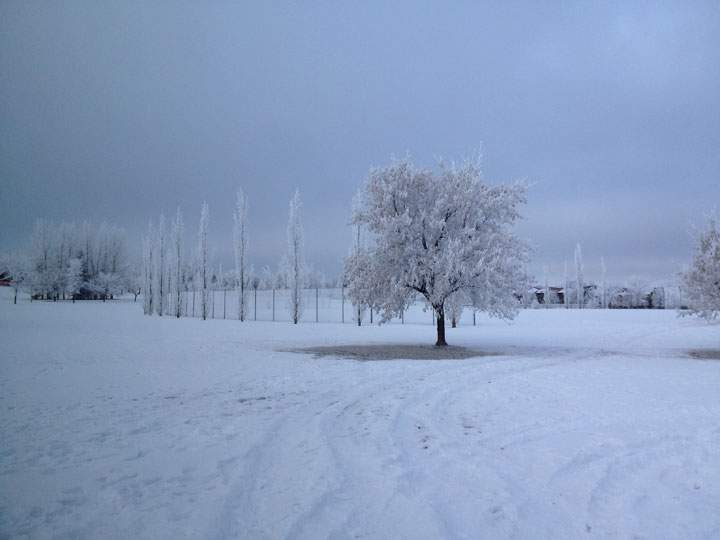 This photo of hoar frost was sent in by Matt Foobear.