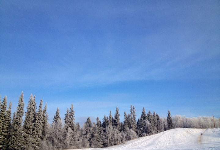 Nicole Brandoline submitted this photo of hoar frost by Little Red River Park.