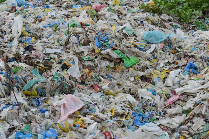 City engaging public on waste reduction strategies for London - image