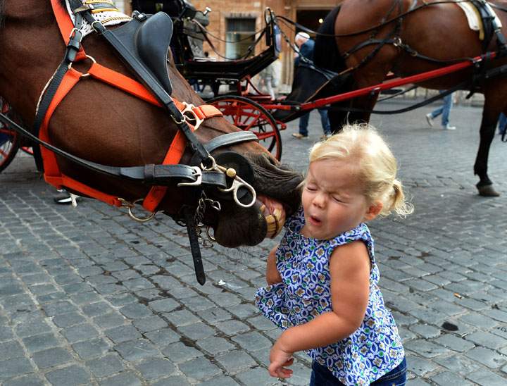 A little girl reacts as a horse tries to catch her at Piazza di Spagna on October 2, 2014 in Rome. 
