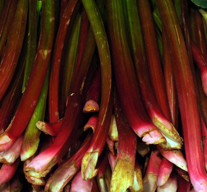 Rhubarb is for sale at a shop for organic food in Munich, southern Germany, on May 3, 2011.