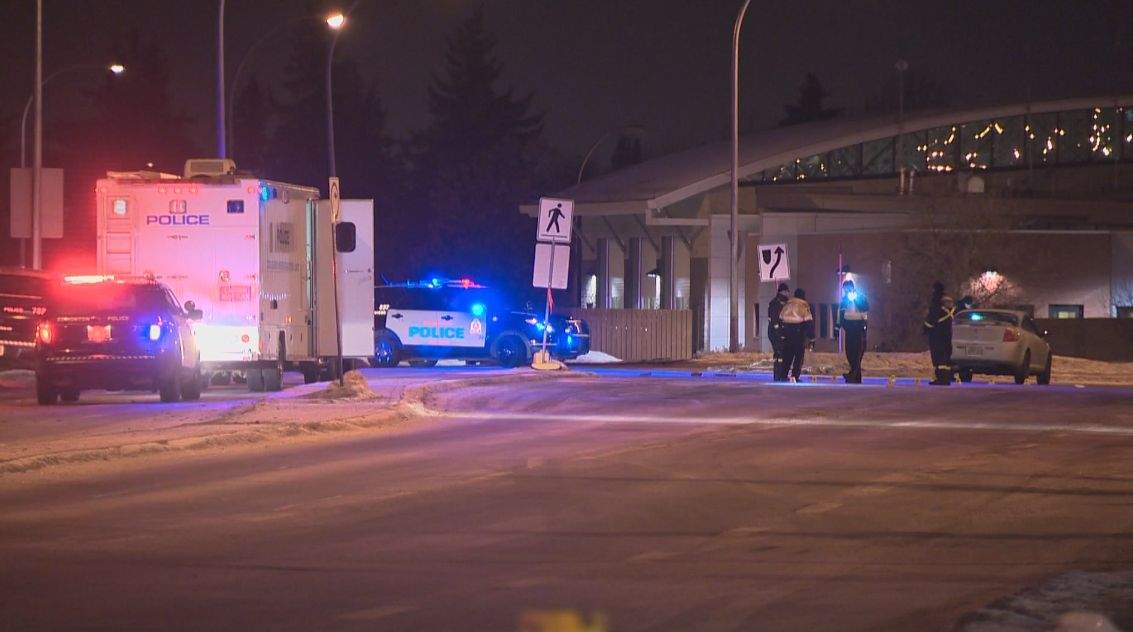 Police are investigating after two pedestrians were hit at a marked intersection in southeast Edmonton Monday evening.