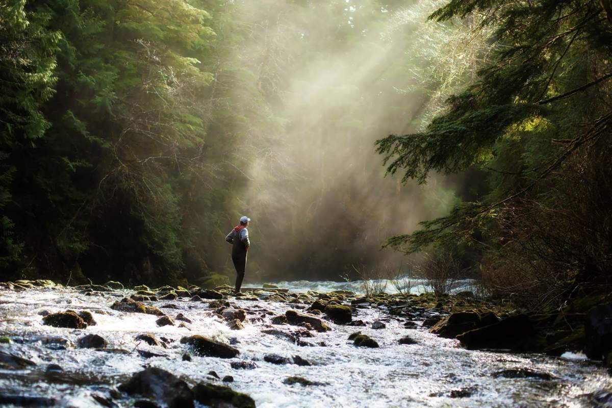 Best B.C. Weather Window Photos of 2014 - image