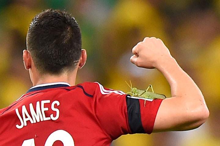 Colombia’s midfielder James Rodriguez celebrates with a locust on his arm during the quarter-final football match between Brazil and Colombia at the Castelao Stadium in Fortaleza during the 2014 FIFA World Cup on July 4, 2014.