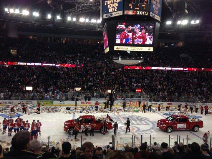 Teddy bear toss