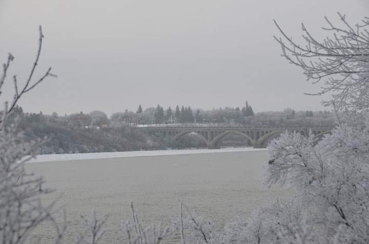 This photo of hoar frost in Saskatoon was sent in by Terry Myers.