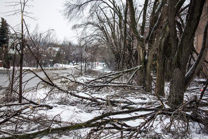 A sidewalk in Richmond Hill is covered with downed tree branches following the ice storm on Dec. 22, 2013.