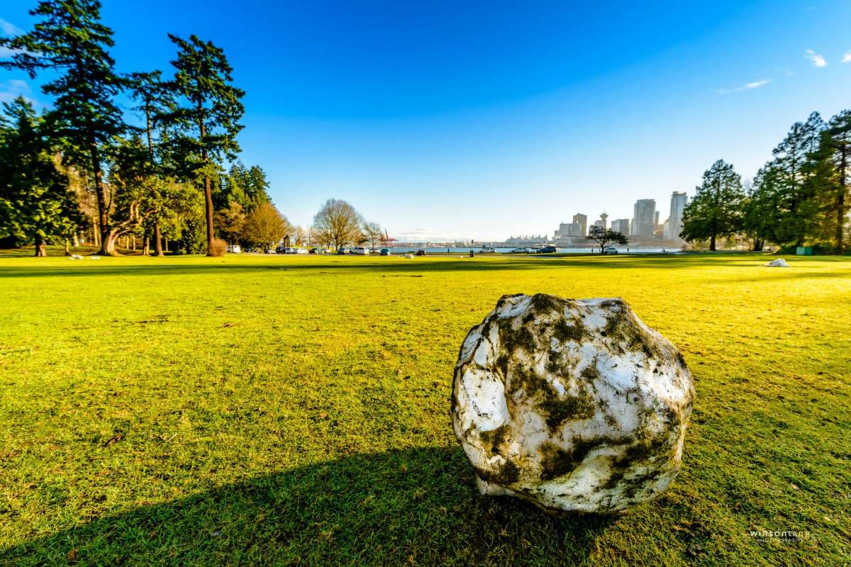 Best B.C. Weather Window Photos of 2014 - image