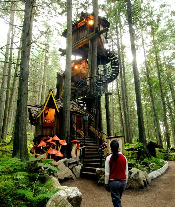 Courtesy: enchantedforestbc.com