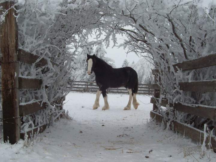 Jan. 5: Joe Cey snapped this Your Saskatchewan photo in Wilkie.