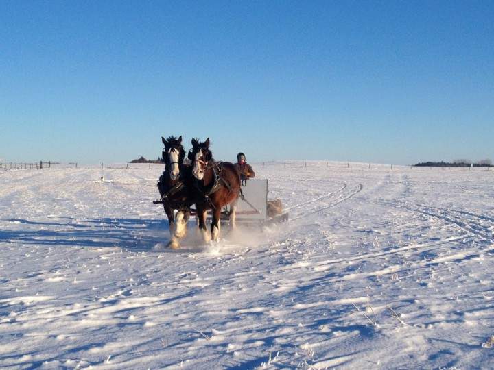 Jan. 9: Kimberly Fargo snapped this Your Saskatchewan photo at Langenburg.