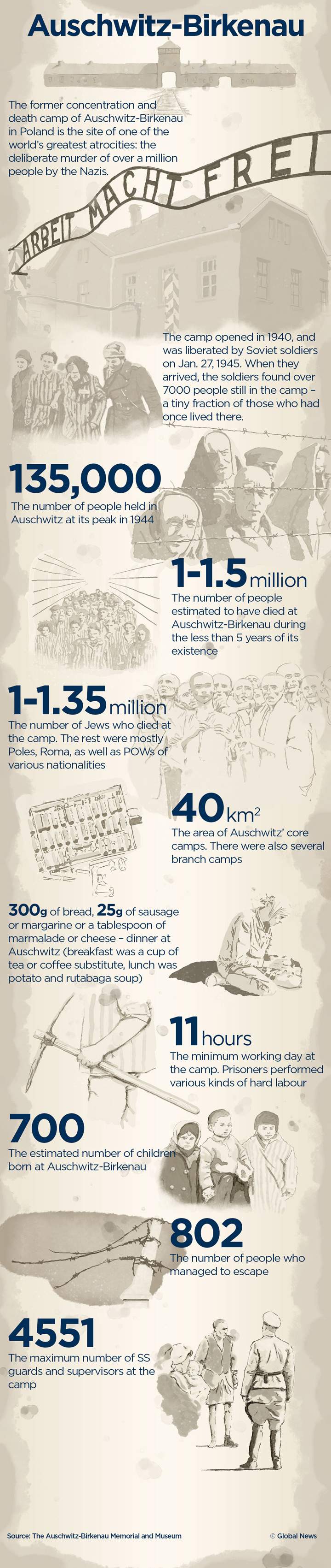 Infographic: Auschwitz remembered - image